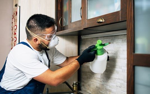 Pest control technician