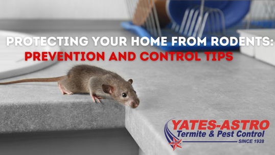 odent prevention tips for Savannah homeowners