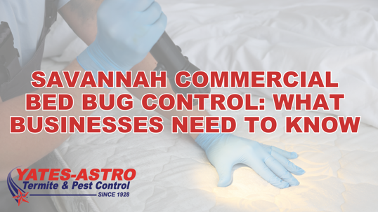 Savannah commercial bed bug control