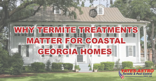 Yates-Astro blog image about termite treatments for Coastal Georgia homes