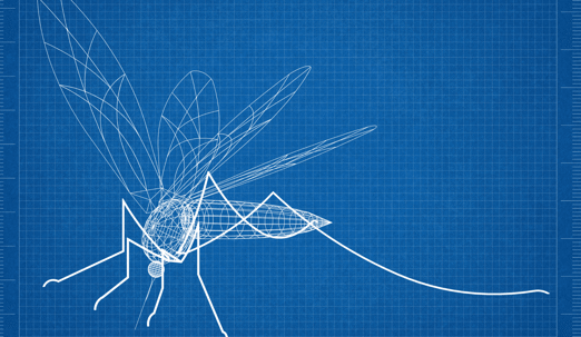 Georgia Mosquito Control