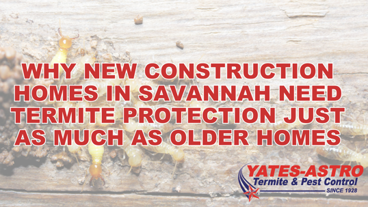 Termite protection for new construction homes in Savannah