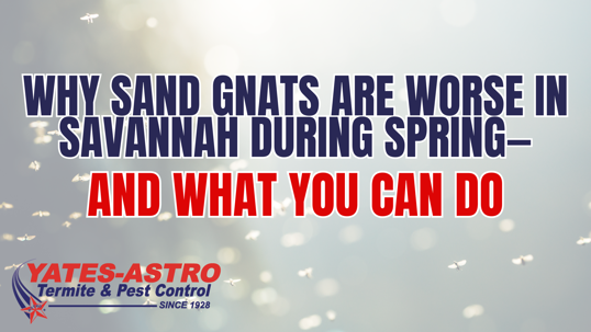 sand gnat control Savannah GA