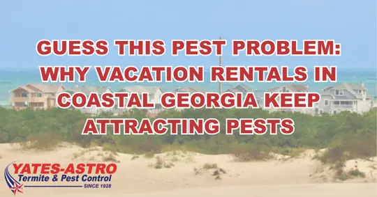Vacation rental pest control in coastal Georgia