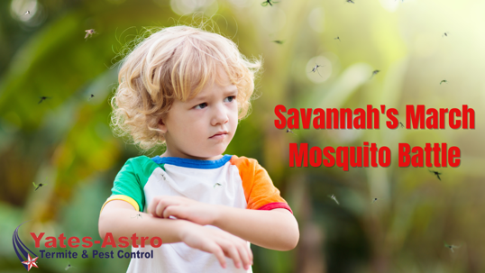 Mosquito control in Savannah