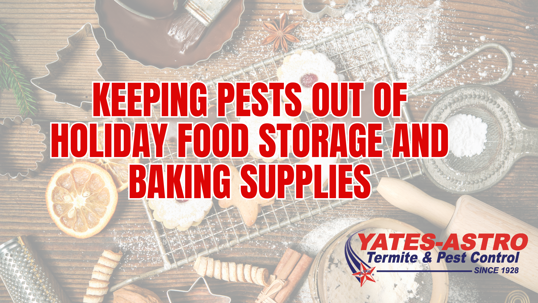 holiday food storage pest prevention