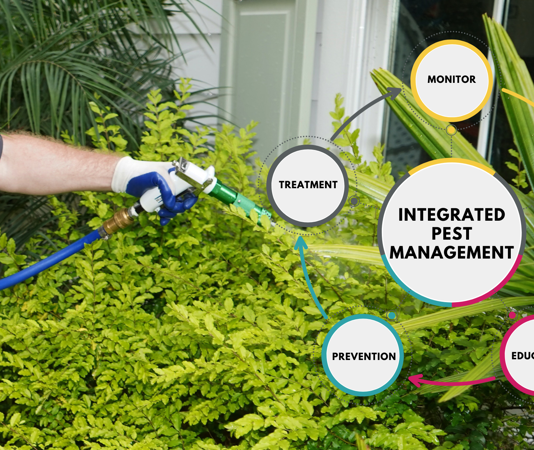 2023 Blogs | Yates-Astro Termite & Pest Control