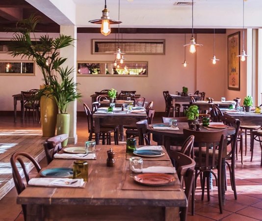 July 2023 Blogs | Yates-Astro Termite & Pest Control