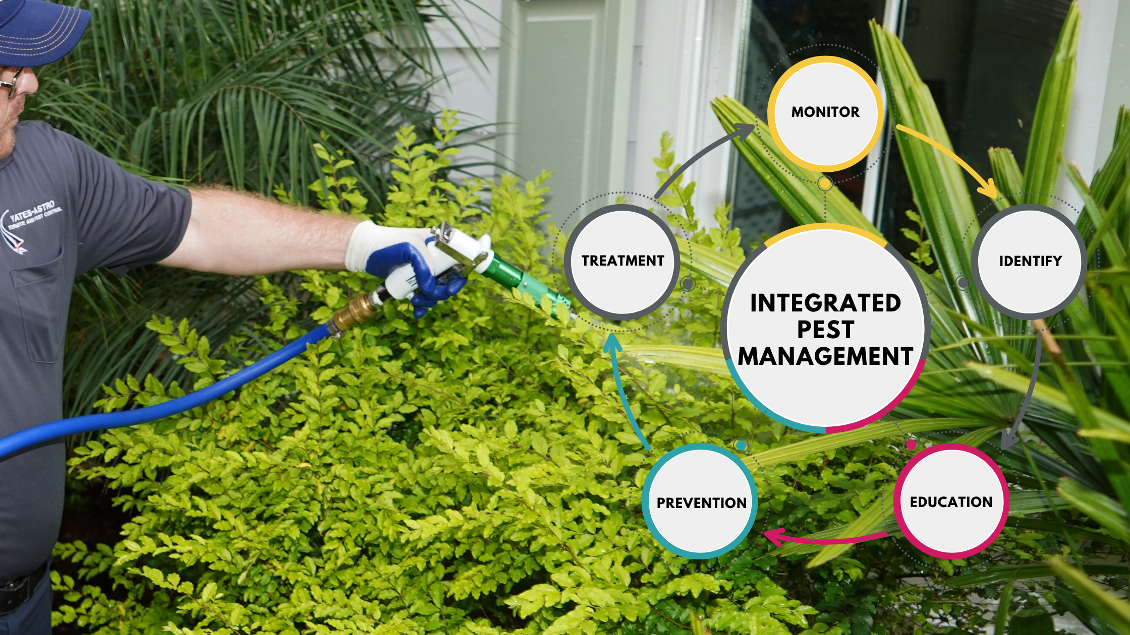Pest Management Program Integrated Pest Management