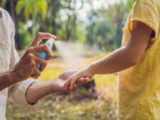 Mosquito Repellent Spray